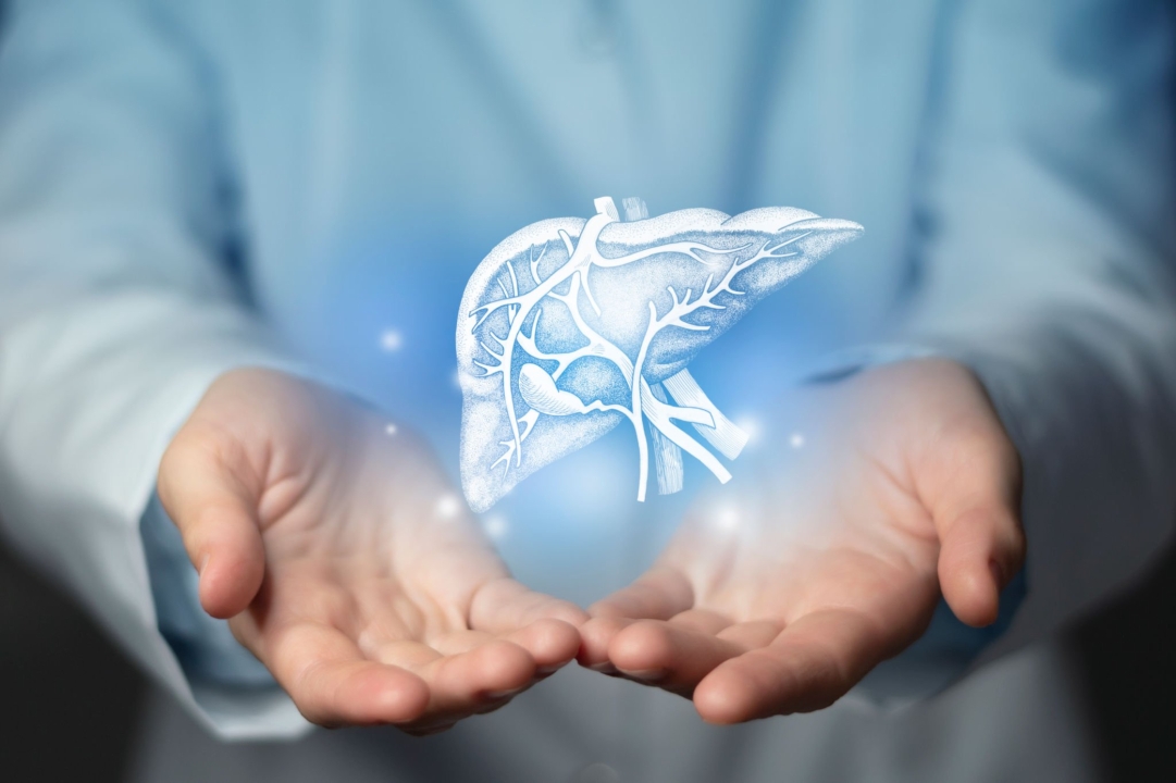 Liv Pure: How to Maximize its Effectiveness