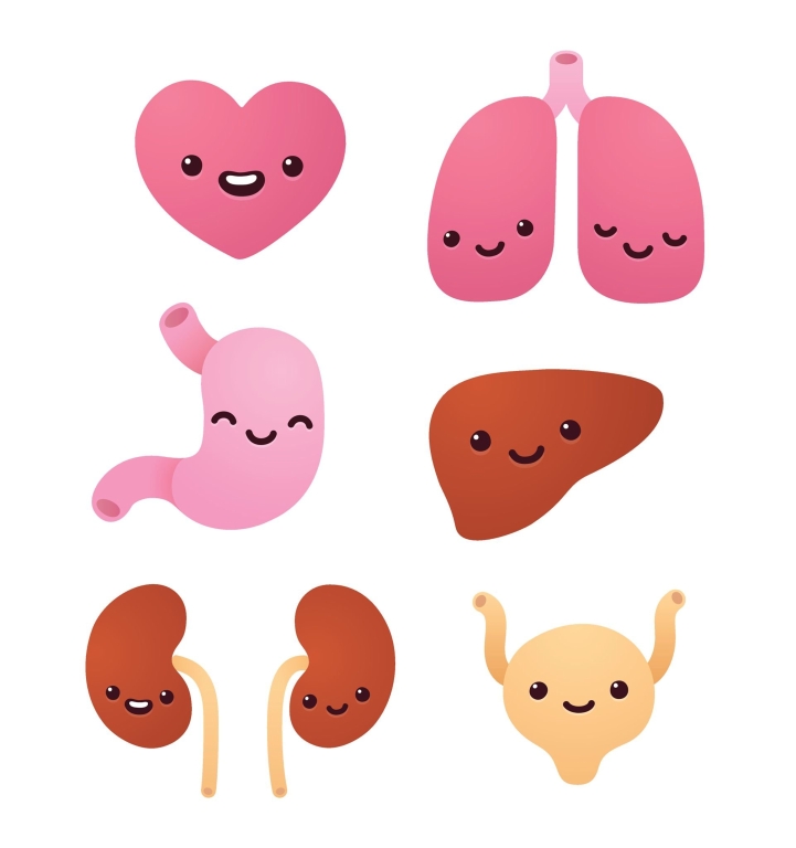 Review of Liv Pure: The Impact on Overall Health