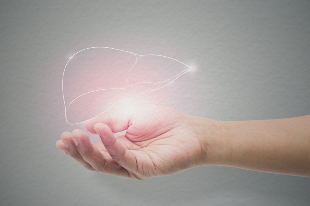 Liv Pure: The Benefits for Improved Respiratory Health