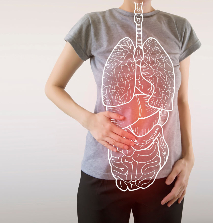 Liv Pure: How it Affects Your Body's Natural Antioxidant Production